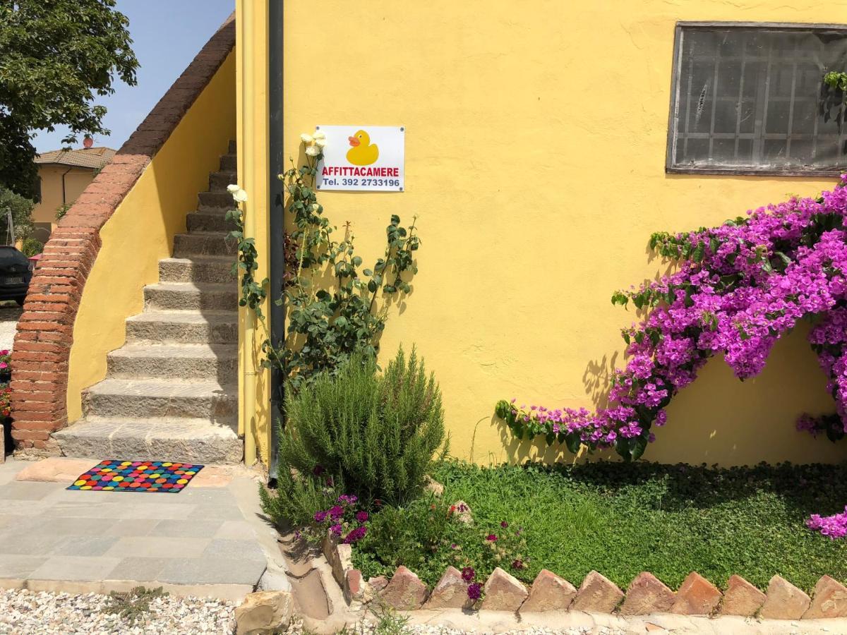 La Nana Gialla Riotorto Dış mekan fotoğraf